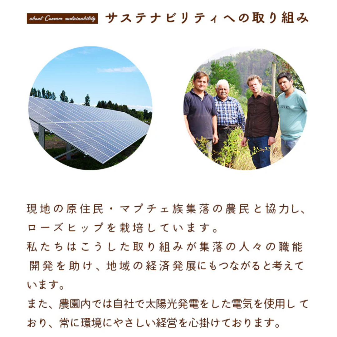 株式会社コエサムジャパンが販売するノンカフェイン・ローズヒップジンジャー