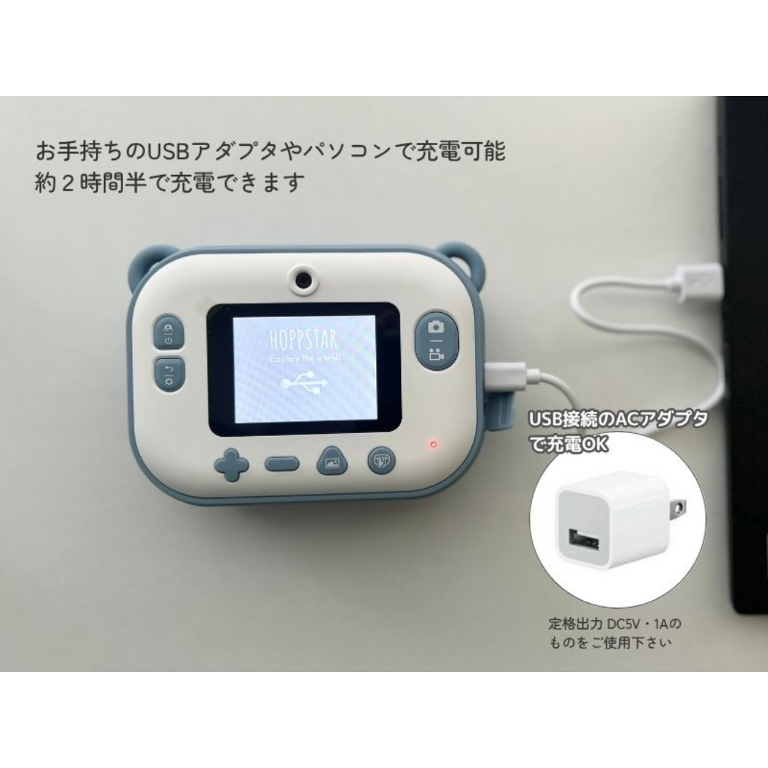 カーサリッチ株式会社が販売するホップスター アーティスト(ブラッシュ)