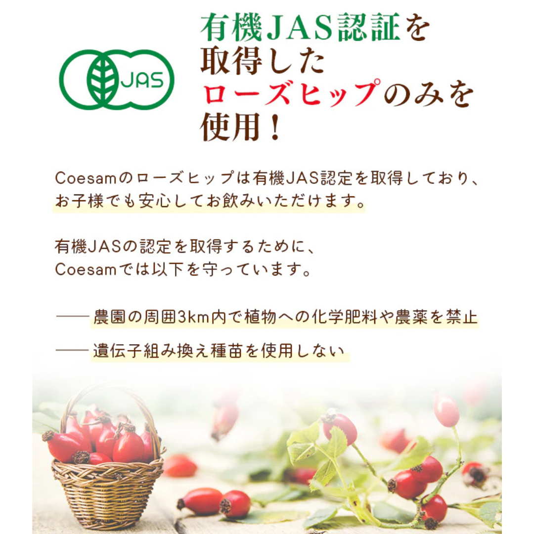 株式会社コエサムジャパンが販売するノンカフェイン・ローズヒップジンジャー