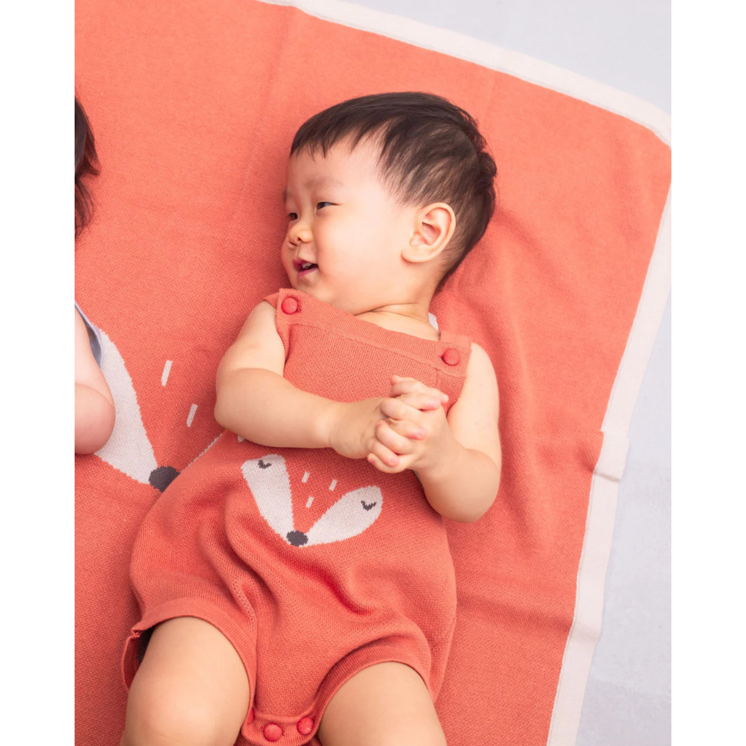 MAYNAMI株式会社が販売するフォックスニットブランケット