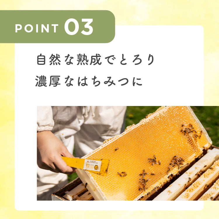 フォレストハニー250g