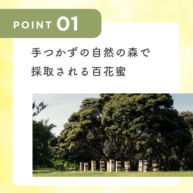 フォレストハニー250g
