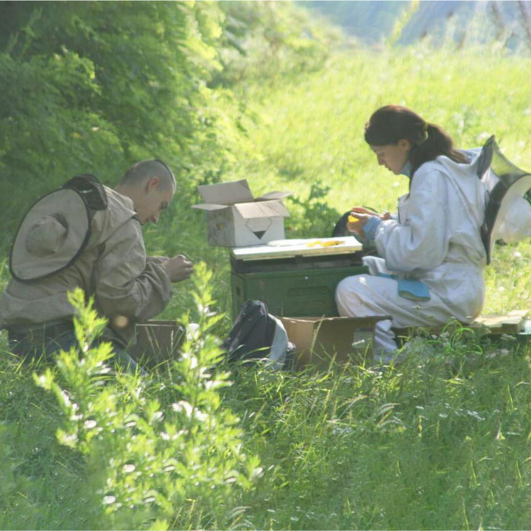 株式会社エイ・ダヴリュー・エイが販売する巣はちみつ オーガニック アカシアコムハニー 化粧箱入り 200g