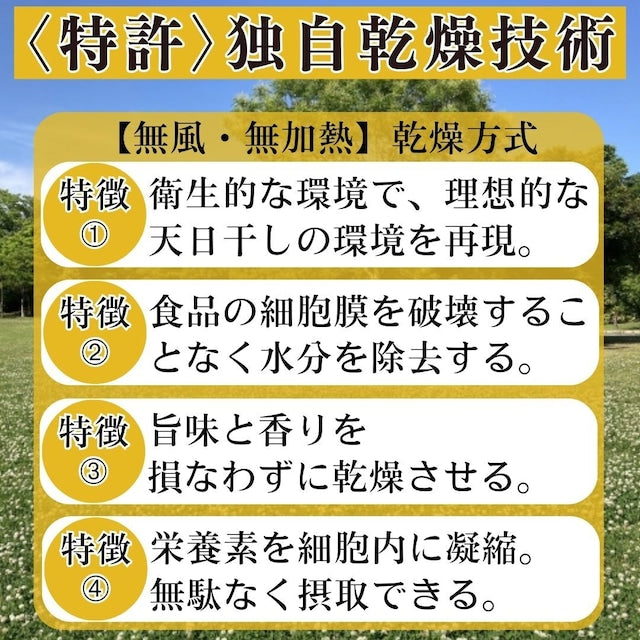 Natural Oceanが販売するUMAMI Powder牡蠣と帆立 全2種