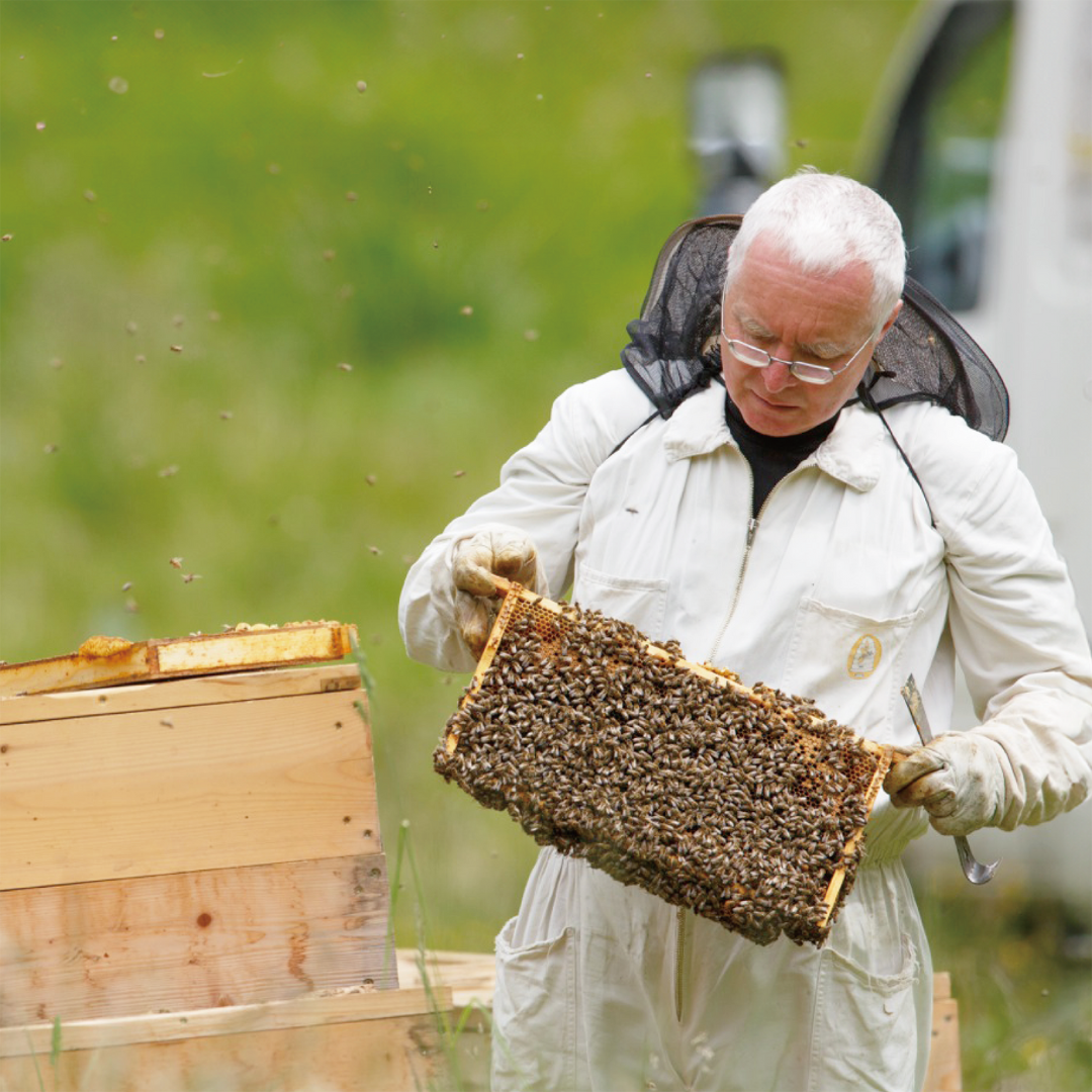 株式会社エイ・ダヴリュー・エイが販売する「Acacia Honey(アカシアハチミツ/単花蜜)」