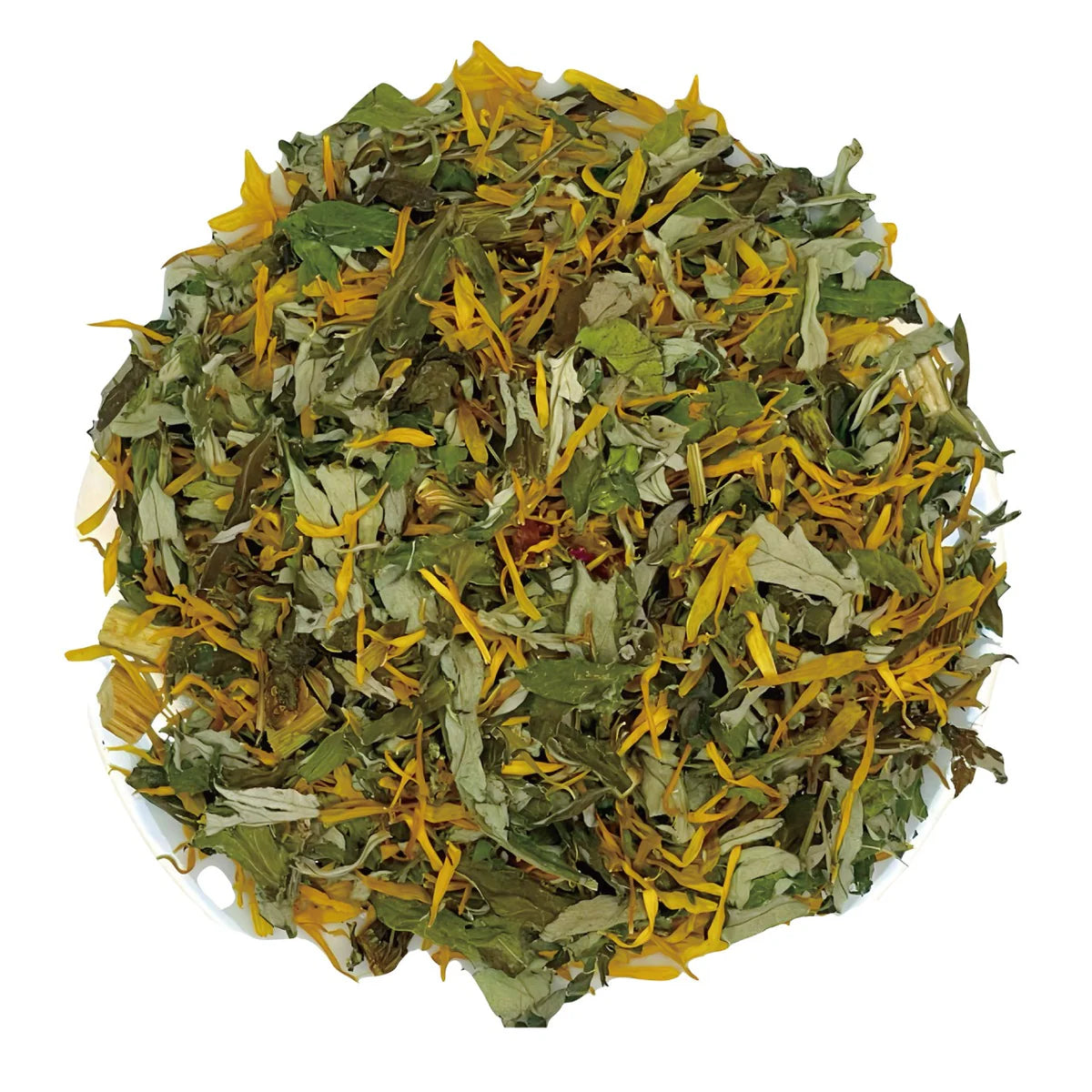 W-NUDGEが販売する国産無農薬の薬膳ハーブティー 内側から強くパワフルな身体へ「PROTECT」