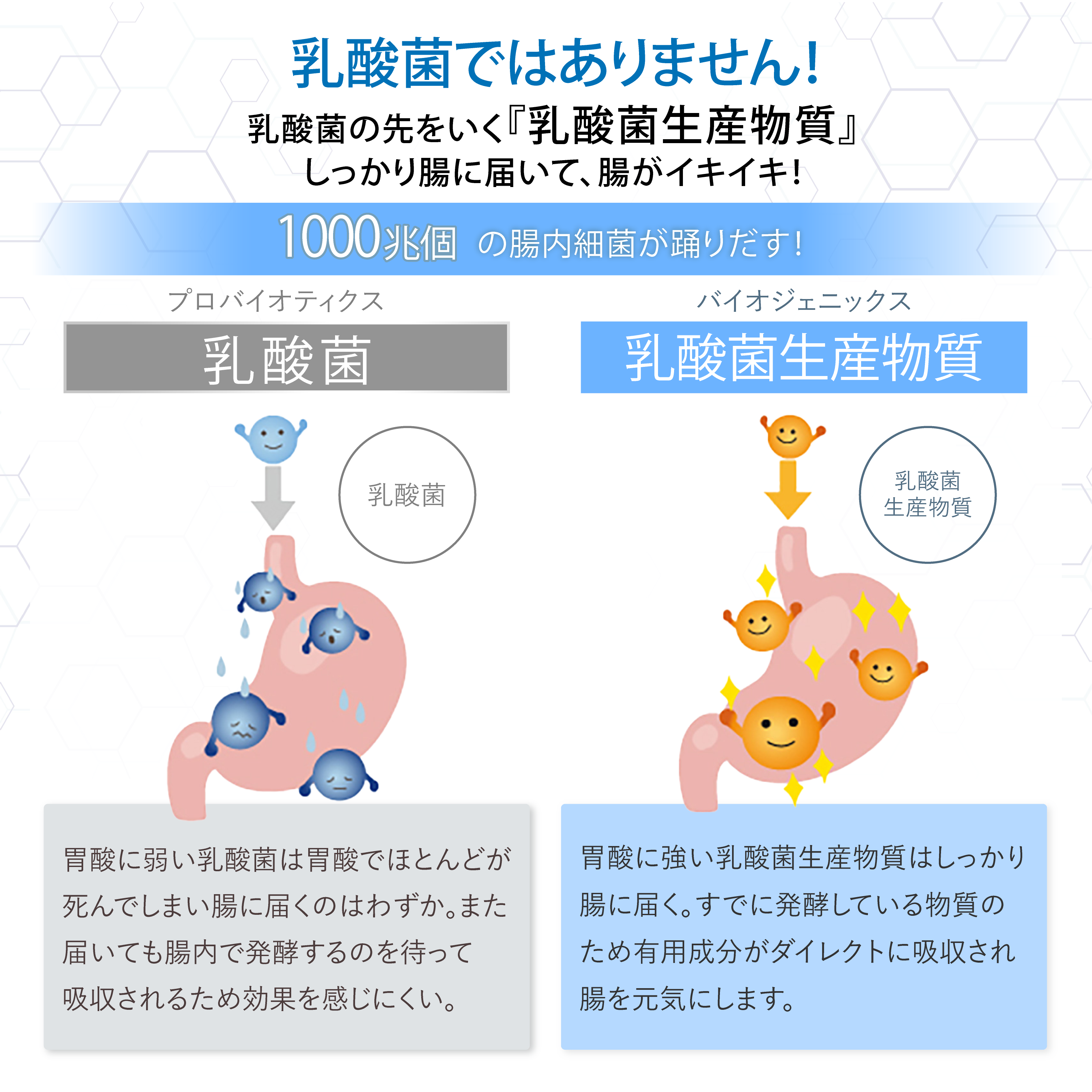 株式会社和クリエイト BIOGEN3 7本入り