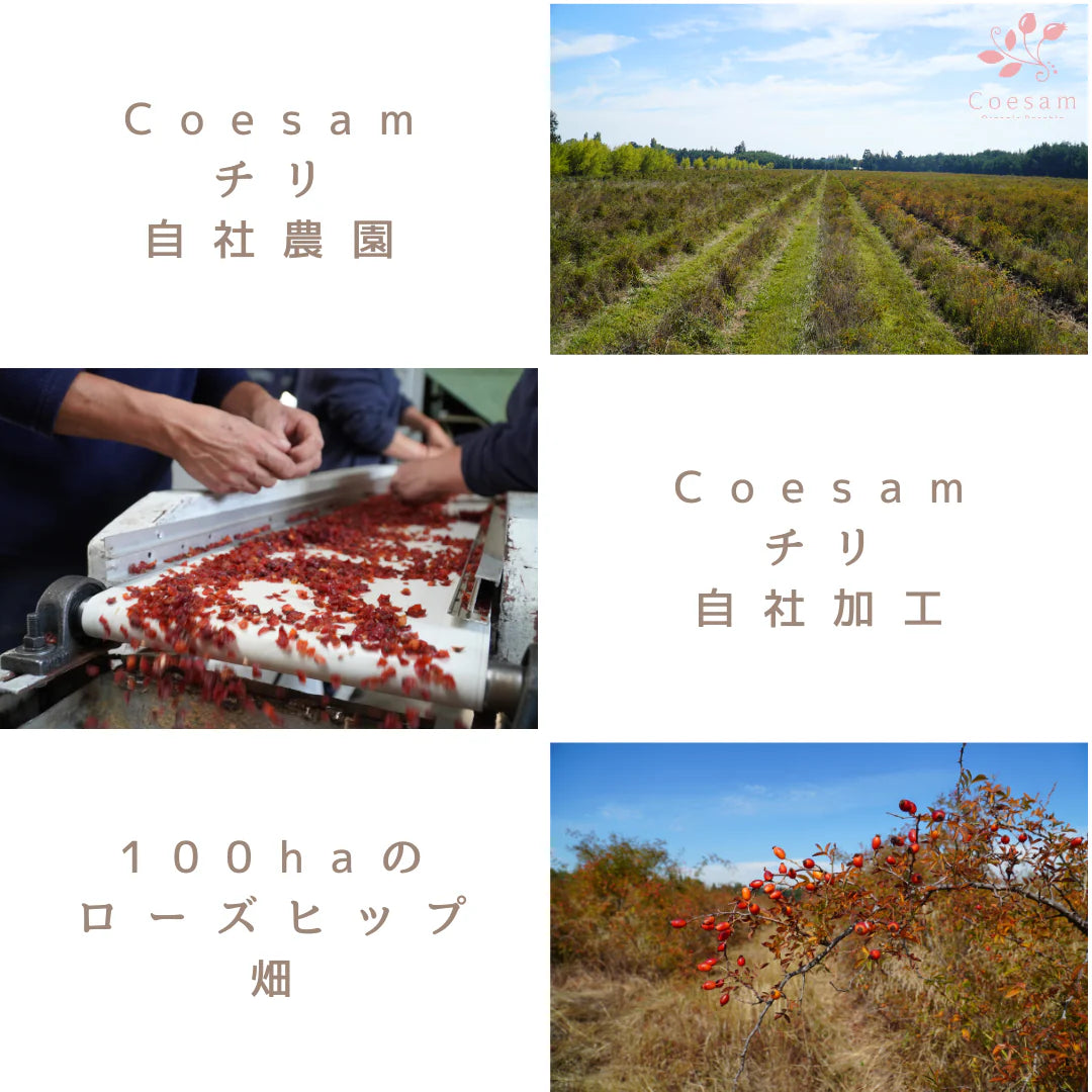 有機ローズヒップ パウダー200g