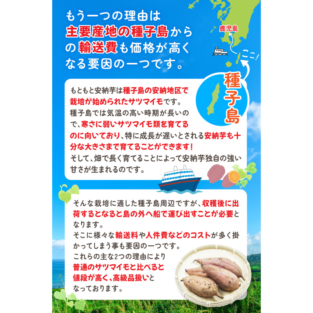 リフココ種子島産訳あり安納芋チップス