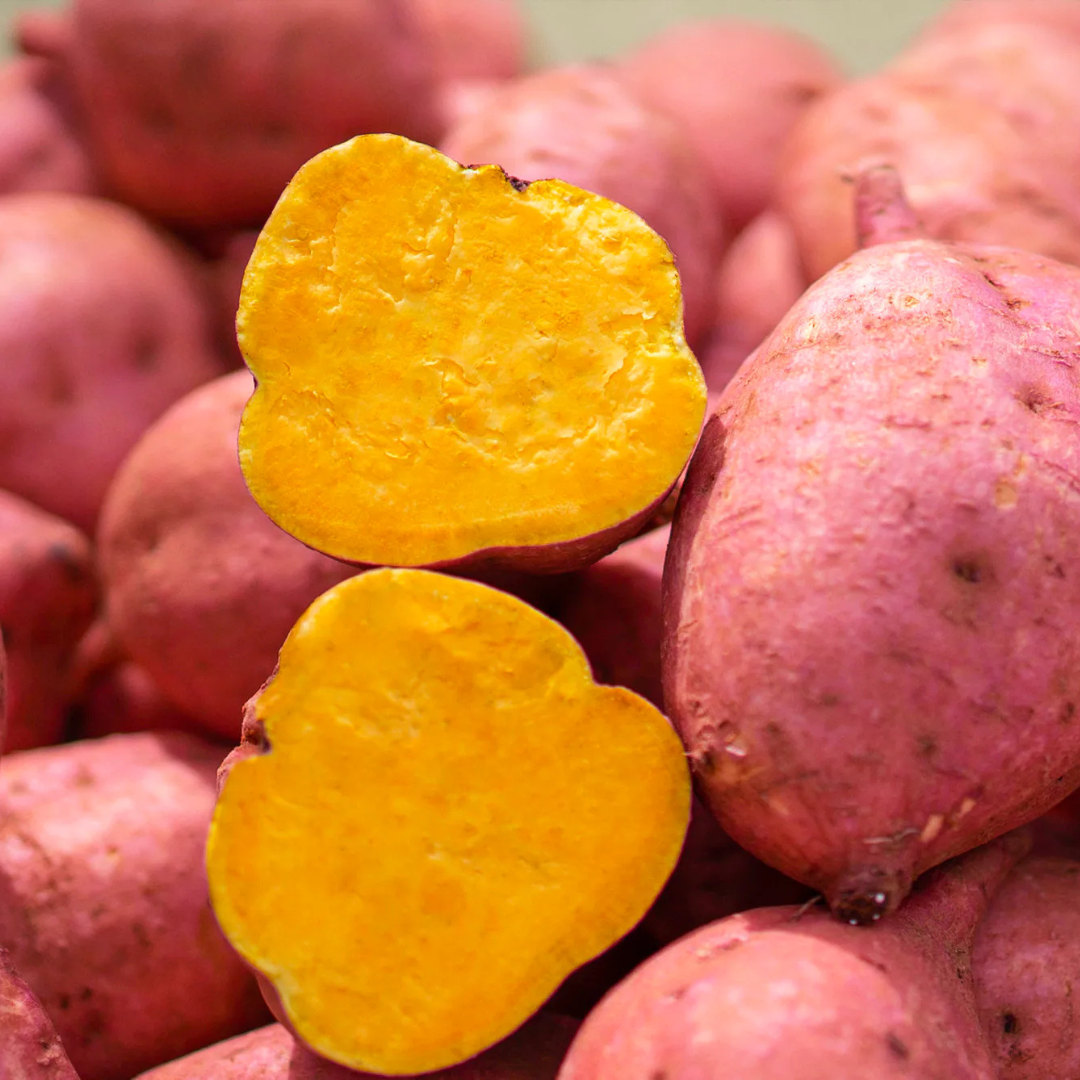 株式会社tanecoが販売する凸凹安納芋の焼き干しいも 全2種