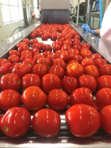 毎日がとまと曜日 ストレートトマトジュース