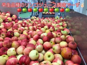 毎日がとまと曜日 トマト&アップルジュース