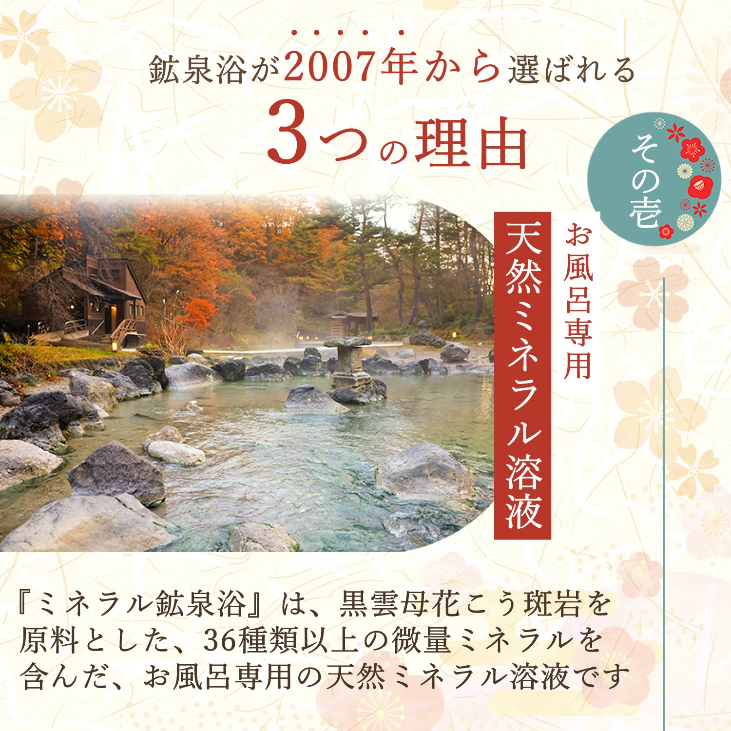 ミネラル鉱泉浴 2サイズ