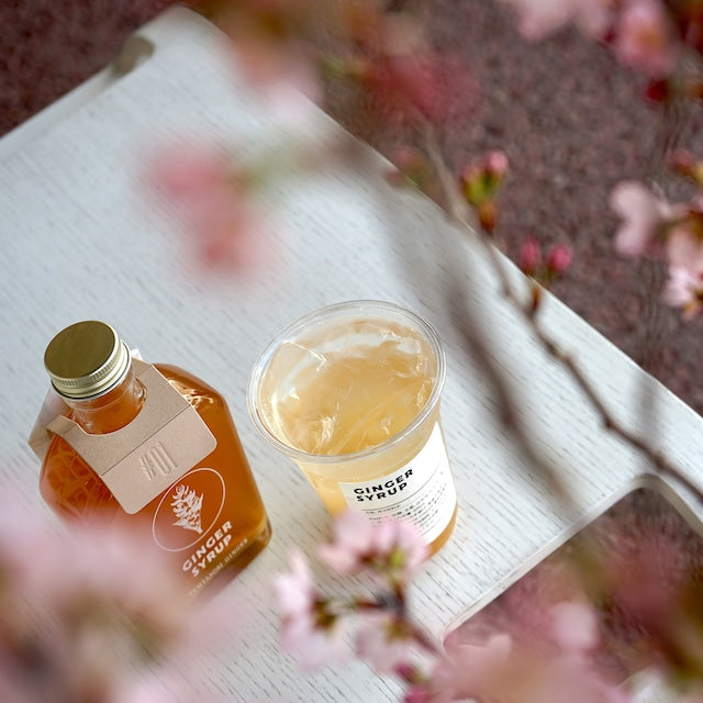 temtasobi ginger ジンジャーシロップ