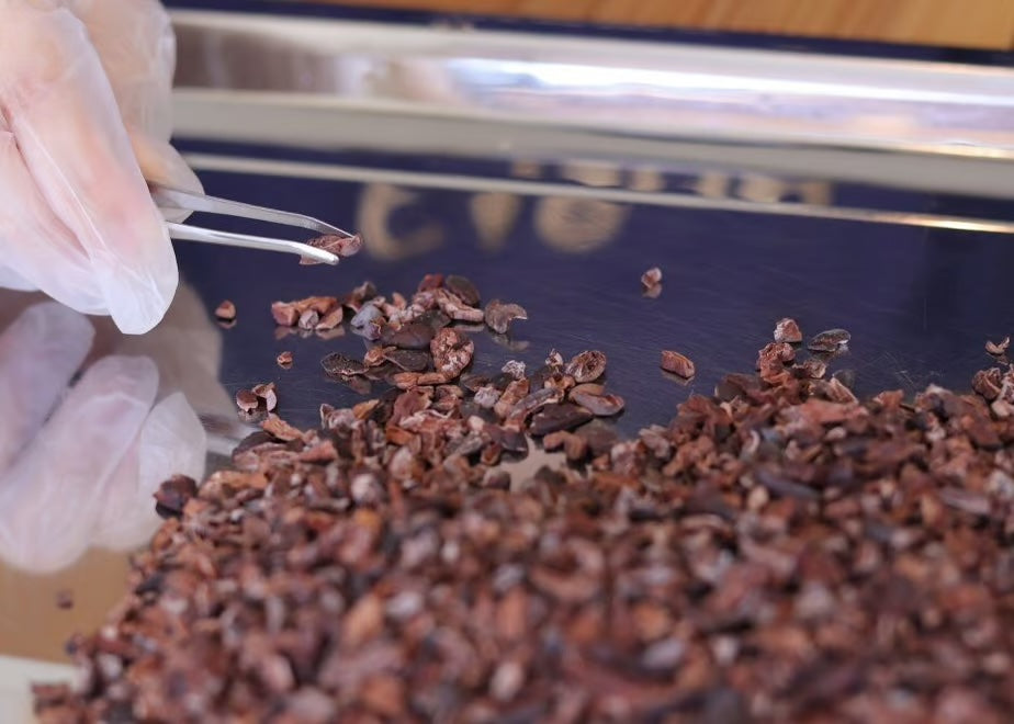 ロッツ株式会社が販売するCACAObroma カカオニブ