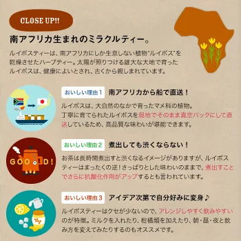 FORIVORA 水出しルイボスティー 2種