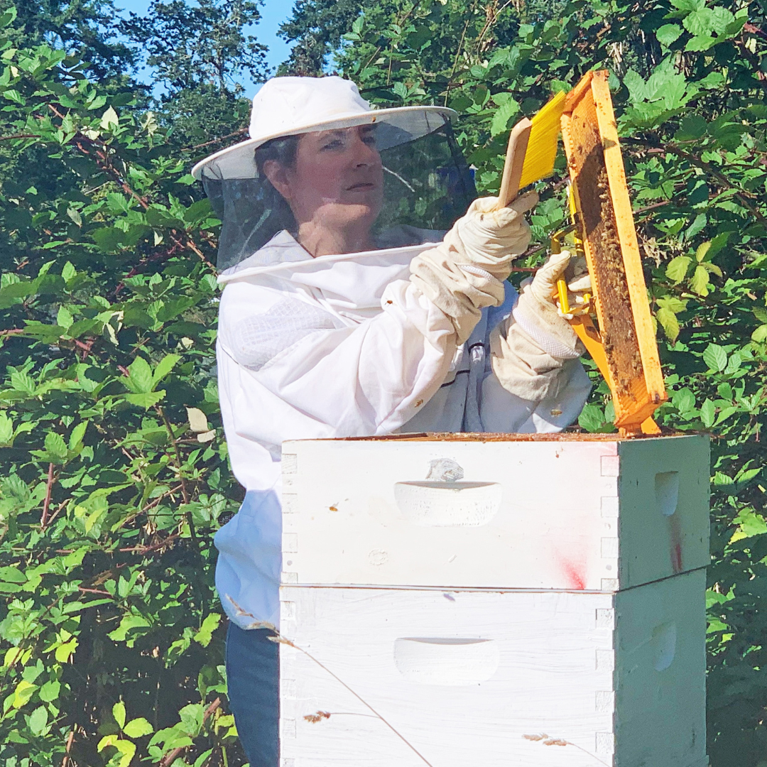 株式会社エイ・ダヴリュー・エイが販売する巣はちみつ オーガニック アカシアコムハニー  化粧箱入り 200g