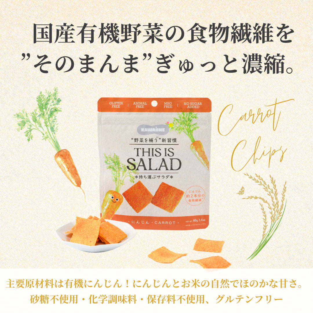 THIS IS SALAD にんじんチップス