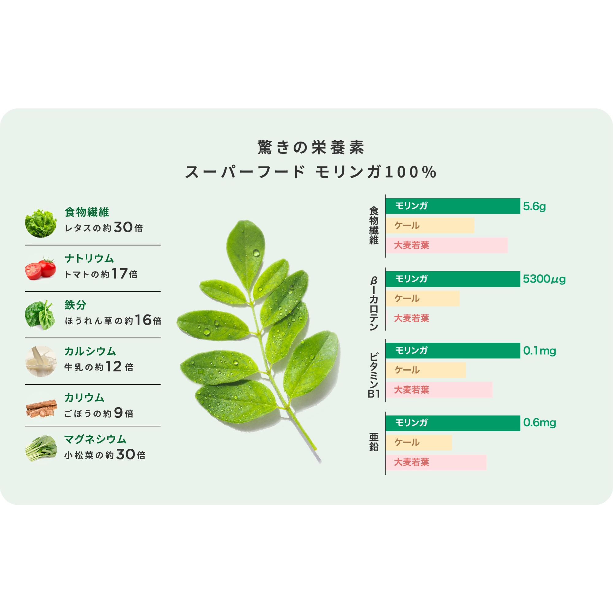 株式会社Elevateが販売するClean Jelly (クリーンゼリー)