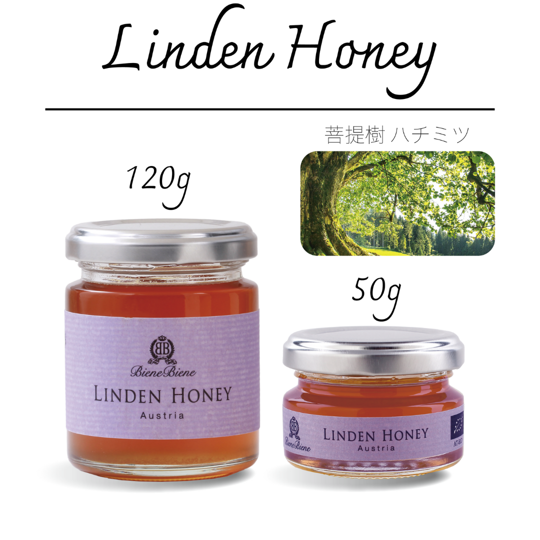 LINDEN HONEY 菩提樹｜清涼感あるハーブ香るはちみつ