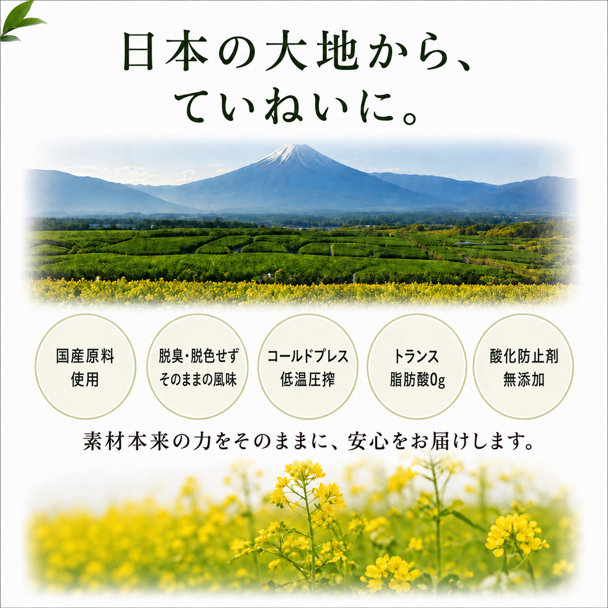 国産カメリナオイル