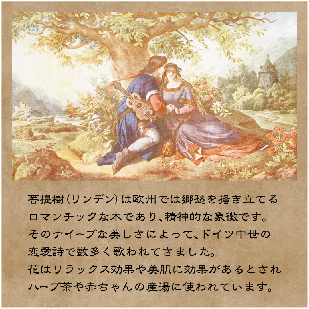 LINDEN HONEY 菩提樹｜清涼感あるハーブ香るはちみつ