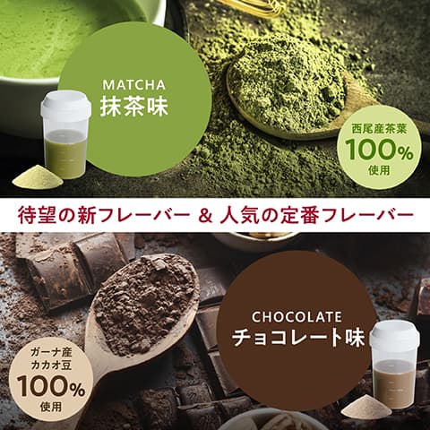 オムテック　メンズウェルネスプロテイン　全2種