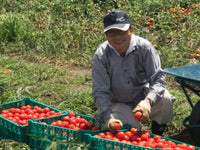 ストレートトマトジュース