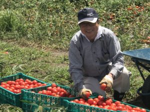 毎日がとまと曜日　トマト＆アップルジュース