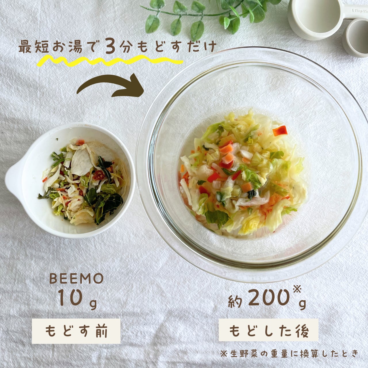 6種類の乾燥野菜ミックス BEEMO