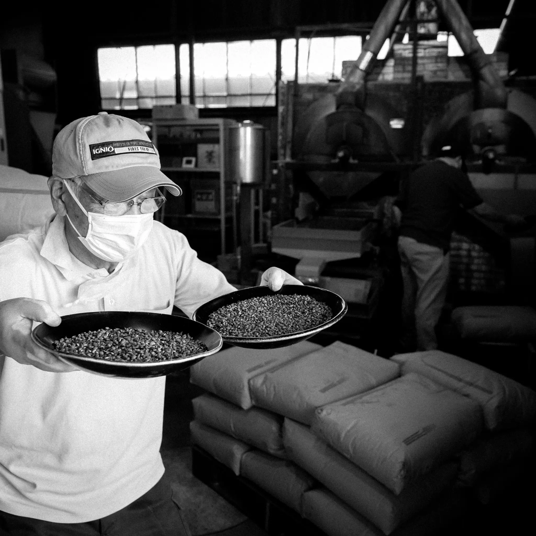 いさし園が販売する自家焙煎 伝統製法麦茶